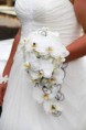 /album/galerie-de-photos-mariage/images-1-jpg/